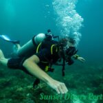Fun Dive Sunset Divers Port Barton